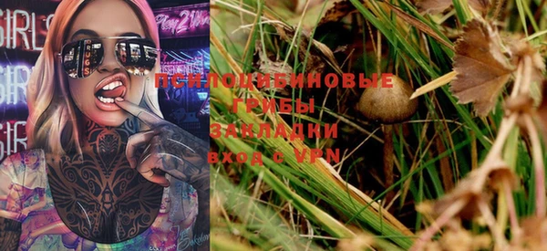 ALPHA PVP Няндома
