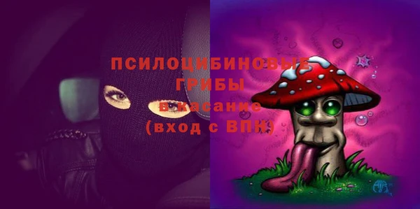 ALPHA PVP Няндома