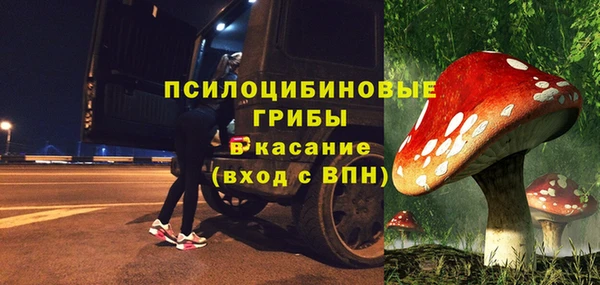 ALPHA PVP Няндома
