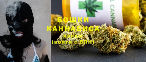 гашик Осинники