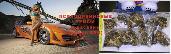 ALPHA PVP Няндома