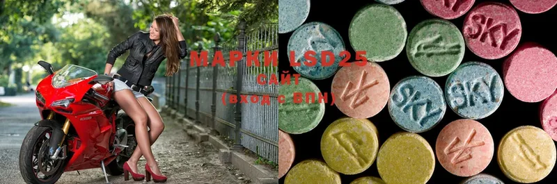 где купить   блэк спрут онион  LSD-25 экстази ecstasy  Курильск 