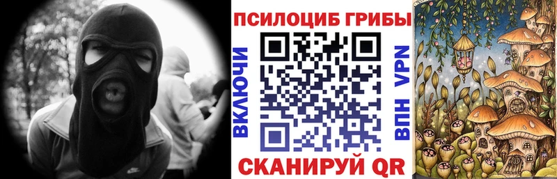 Псилоцибиновые грибы мицелий  Курильск 