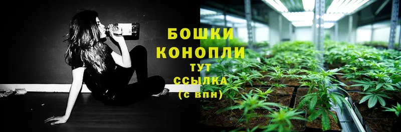 МАРИХУАНА White Widow  Курильск 